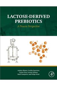 Lactose-Derived Prebiotics