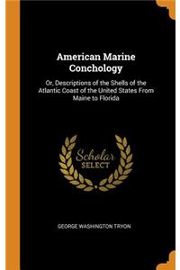 American Marine Conchology