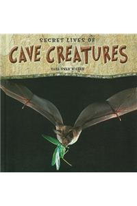 Secret Lives of Cave Creatures