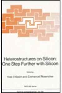 Heterostructures on Silicon: One Step Further with Silicon