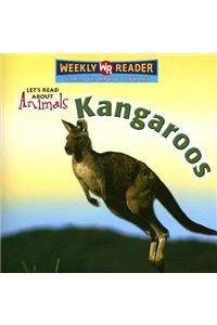 Kangaroos