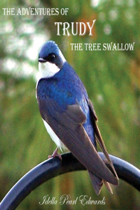 Adventures of Trudy the Tree Swallow