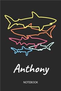 Anthony - Notebook