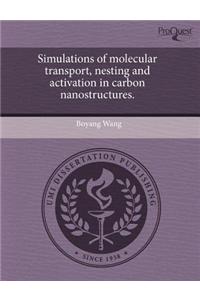 Simulations of Molecular Transport