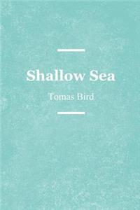 Shallow Sea