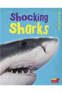 Shocking Sharks