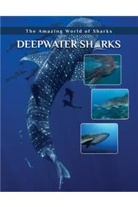 Deepwater Sharks