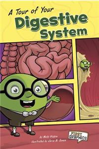 Tour of Your Digestive System