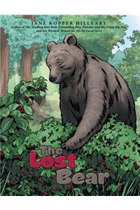 Lost Bear