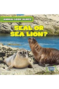 Seal or Sea Lion?