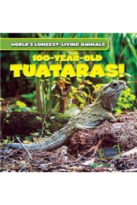 100-Year-Old Tuataras!