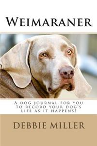 Weimaraner