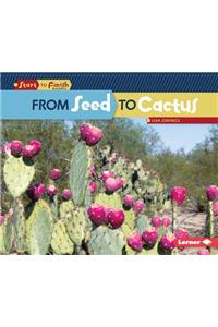 From Seed to Cactus