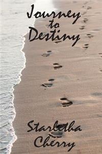 Journey TO Destiny