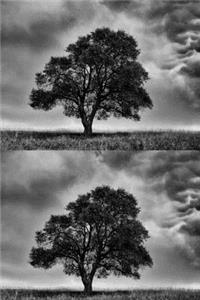 Double Exposure Before The Storm Journal