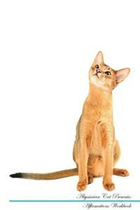 Abyssinian Cat Affirmations Workbook Abyssinian Cat Presents