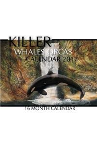 Killer Whales Orcas Calendar 2017