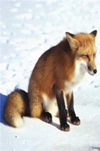 Journal Winter Red Fox Snow