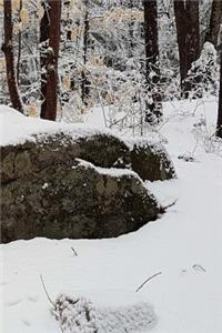 Winter Journal Rock Snowy Forest