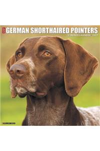 Just German Shorthaired Pointers 2019 Wall Calendar (Dog Breed Calendar)
