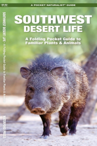 Southwest Desert Life