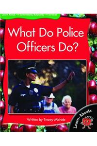 Lab Lvl13 What Police Officers Do