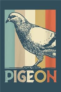 Pigeon