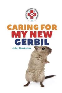 Caring for My New Gerbil