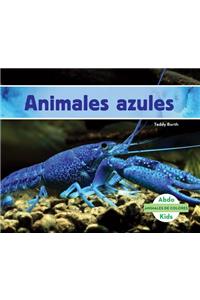 Animales Azules / Blue Animals