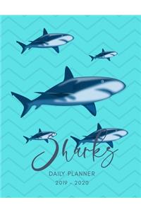Planner July 2019- June 2020 Sharks Monthly Weekly Daily Calendar