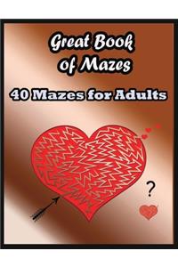 Great Book of Mazes 40 Mazes for Adults: An Amazing Maze Activity Book for Adults