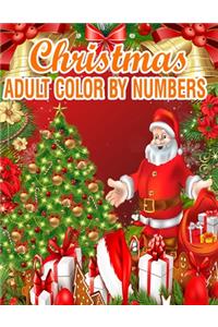 Christmas Adult Color By Numbers