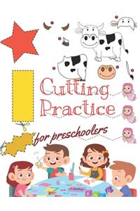 Cutting Practice