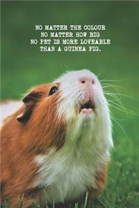 I LOVE MY GUINEA PIG Notebook, Pet Collection: Perfect Size 6"x9" 100 lined pages (doodles, notes, ideas, compositions)