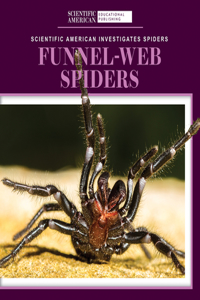 Funnel-Web Spiders
