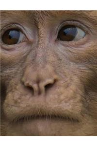 Barbary Ape Notebook