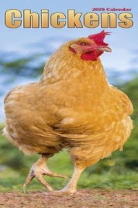 Chickens Slim Calendar 2019