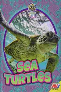 Sea Turtles