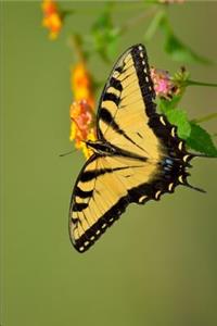 Yellow Butterfly