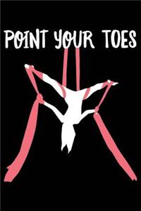 Point Your Toes: Aerial Silks 120 Pages 6 X 9 Inches Journal