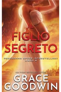 Il Figlio Segreto