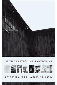 In the Particular Particular