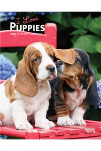 Puppies, I Love 2021 Engagement