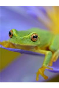 Frog Journal / Notebook - Wide Ruled