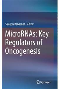 Micrornas: Key Regulators of Oncogenesis