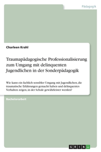 Traumapädagogische Professionalisierung zum Umgang mit delinquenten Jugendlichen in der Sonderpädagogik