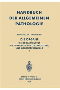 Die Organe