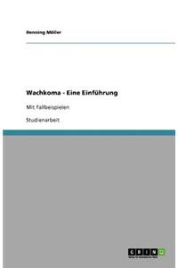 Wachkoma - Eine Einführung