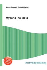 Mycena Inclinata
