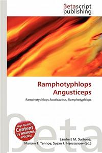 Ramphotyphlops Angusticeps